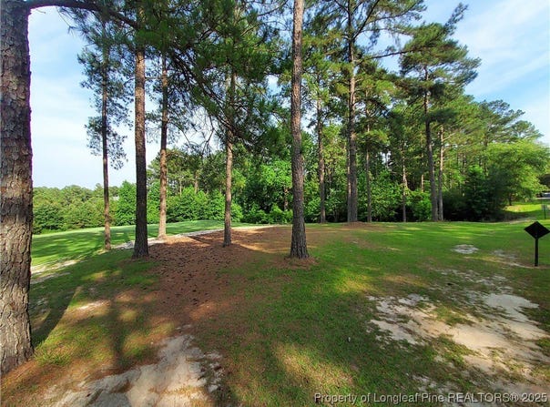 Caddie Court, Wagram, NC 28396