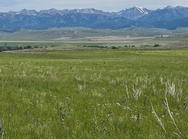 Shy Road, Wilsall, MT 59086