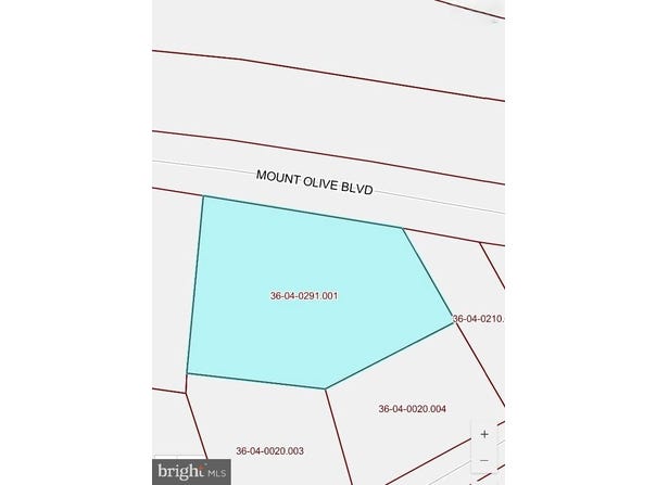 291 MOUNT OLIVE BOULEVARD, SHENANDOAH, PA 17976