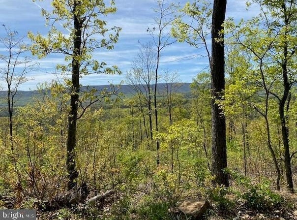 Lot 6 POLECAT HOLLOW ROAD, HOPEWELL, PA 16650