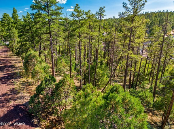E Ellsworth, Show Low, AZ 85901