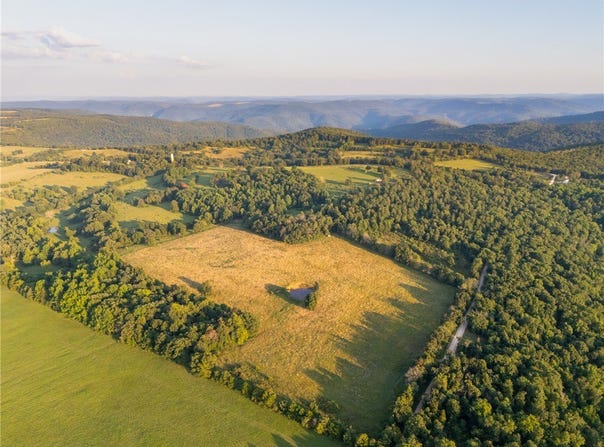 NC 1650, Harrison, AR 72601