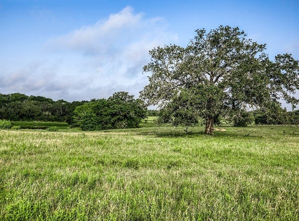 Tract 4 South Nassau Road, Round Top, TX 78954