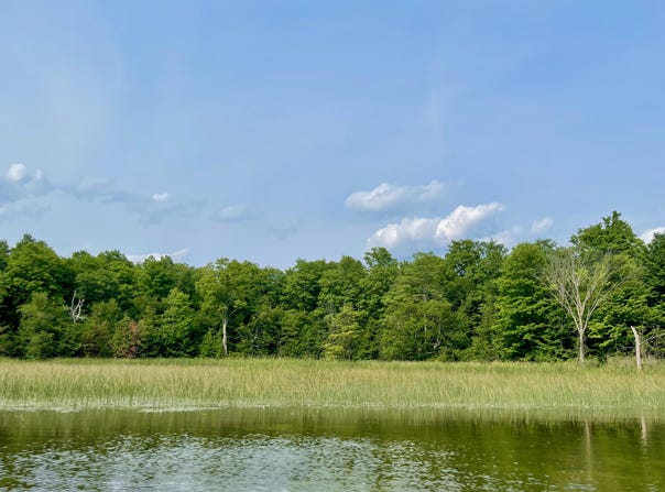 403 Guenther Ridge, Gaylord, MI 49735