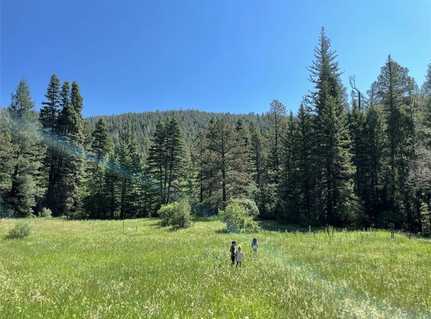 705 NM-120, Angel Fire, NM 87710
