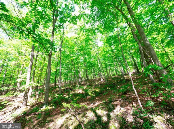 LOTS 8 & 9 ELK TRAIL, WINCHESTER, VA 22602