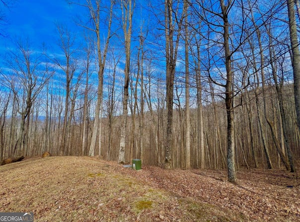 57 Rim Rock, Young Harris, GA 30582