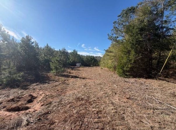 0 Ferrell Road, Red Level, AL 36474