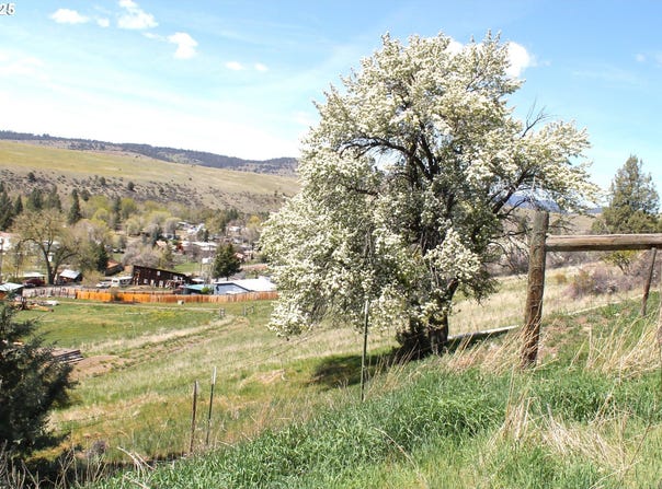 Washington ST, Prairie City, OR 97869