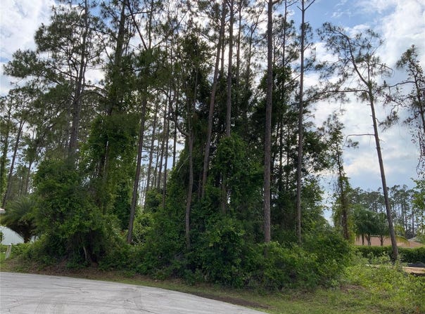 10 RIPTON PLACE, PALM COAST, FL 32164