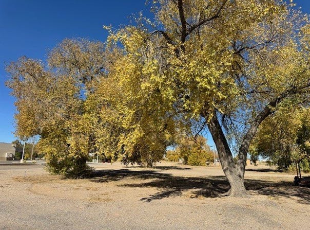 811 Route 66, Moriarty, NM 87035