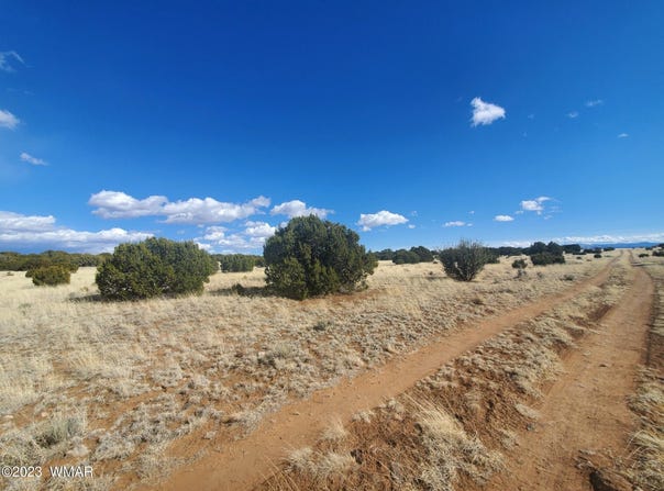 CR 5101, Concho, AZ 85924