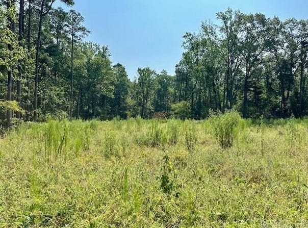 Hwy 104 Tract A, Pine Bluff, AR 71602
