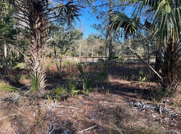 8108 N Shannon Avenue, Crystal River, FL 34428