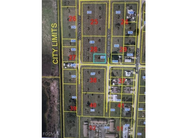 300 Elderberry Avenue NW, Moore Haven, FL 33471