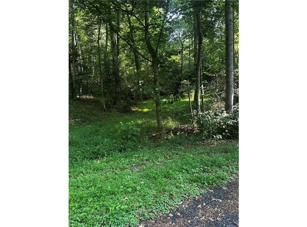 000 Walker Lane, Millers Creek, NC 28651