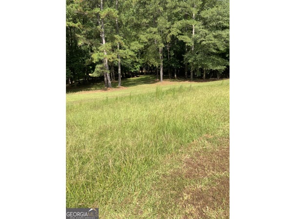 1395 Josey, Forsyth, GA 31029