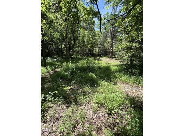 2201 Moorefields Rd, Hillsborough, NC 27278