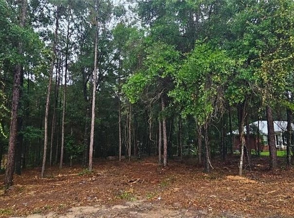 Timber Creek Drive N, Axis, AL 36505