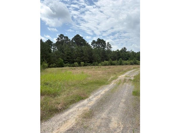 Tbd County Road 425, Tenaha, TX 75974
