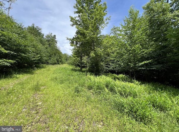 OFF TUSCAN RIDGE RD, DAVIS, WV 26260