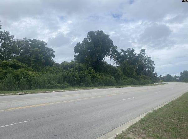 0 Charleston Highway, Orangeburg, SC 29115
