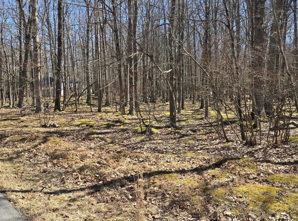 118 & 120 Birchwood Lane, Hawley, PA 18428