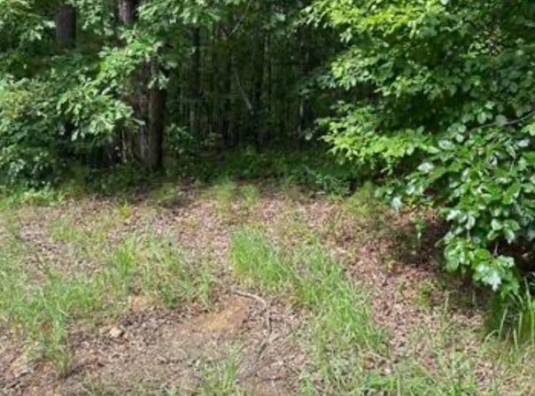 WILLOW WAY DRIVE, LAKEVIEW, AL 35111
