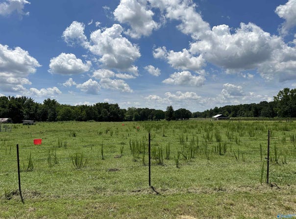 9.1 Ham Road, Athens, AL 35611