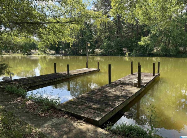 311 SEDDON ROAD, RIVERSIDE, AL 35135
