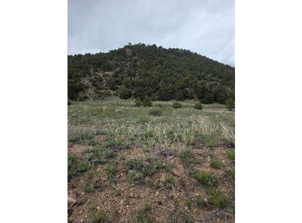 8099 County Rd 28, Cotopaxi, CO 81223