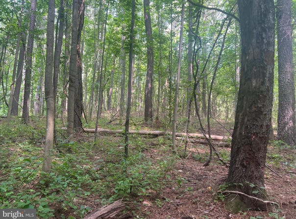 0 THORNTON GAP CHURCH ROAD, SPERRYVILLE, VA 22740