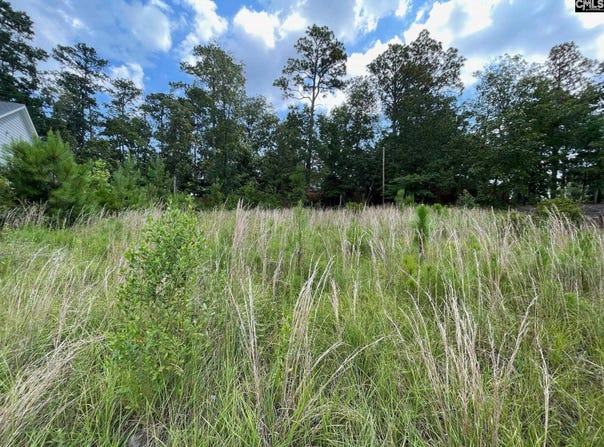 769 Club Cottage Drive, Blythewood, SC 29016