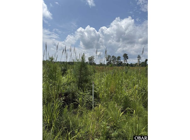 TBD Cove Road, New Hope, NC 27944