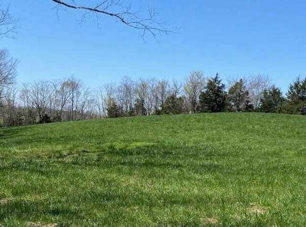 715 Hidden Acres, Mt. Olivet, KY 41064
