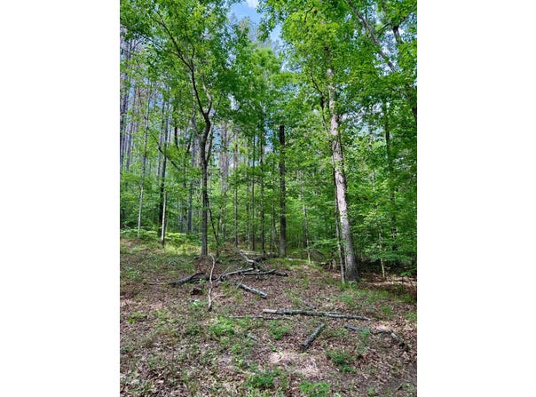 3860 Yellow Creek Road, Louisville, MS 39339
