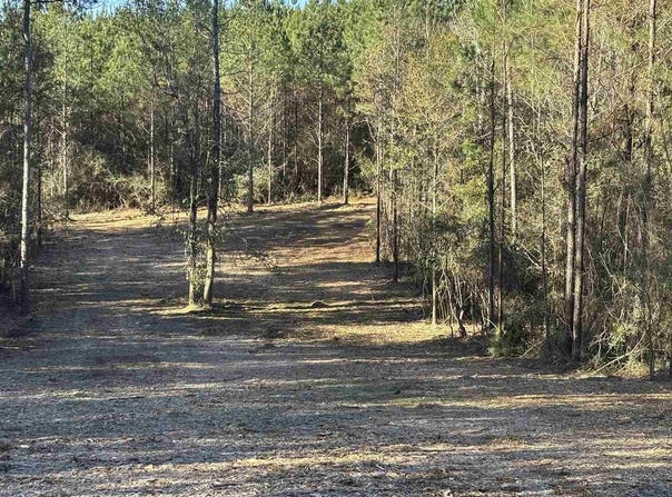 Straw Bridge Rd lot: 56, Jay, FL 32565