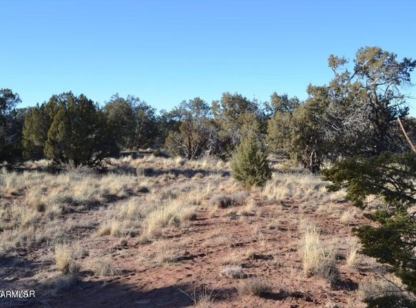5450 County Line Road, Snowflake, AZ 85937