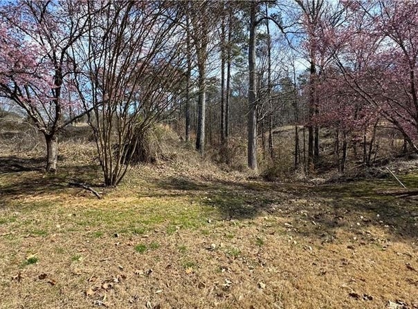 5204 Prestley Crossing Lane, Douglasville, GA 30135