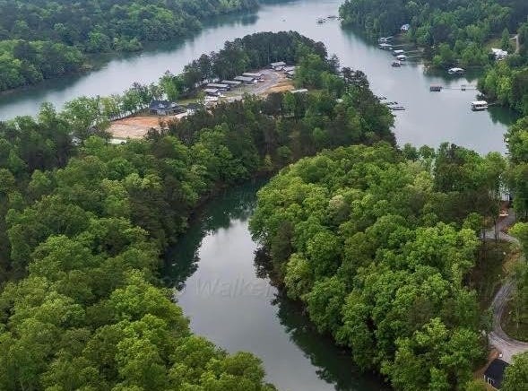 SHORESIDE DRIVE, Double Springs, AL 35553