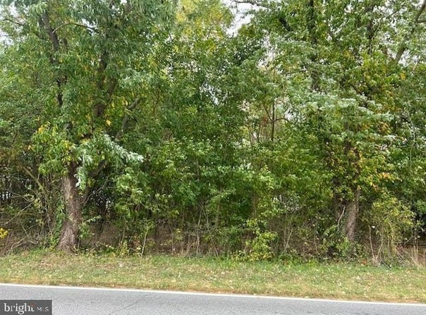 30205 MORGNEC ROAD, MILLINGTON, MD 21651