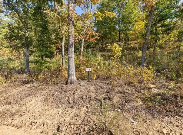 Lot 8 Peaceful  PL, Harrison, AR 72601