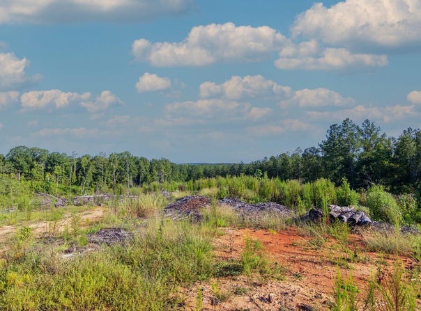 Tract 1 Highway 0036, Woodland, GA 31836