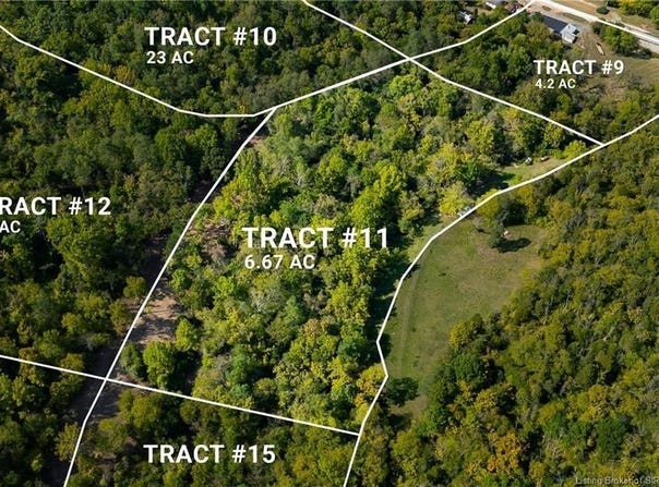 0 Tract 11 N State Road 156, Patriot, IN 47038