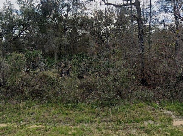 7355 N Canal St, Webster, FL 33597