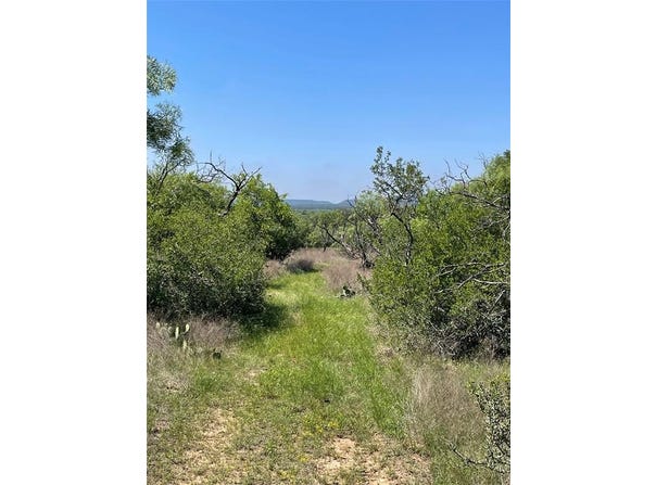 Cr 253 CR 253, Comanche, TX 76442