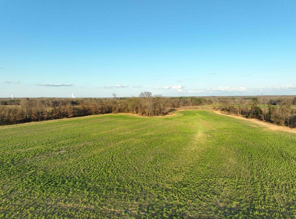 3615 WHITEVILLE-NEWCASTLE, Whiteville, TN 38075