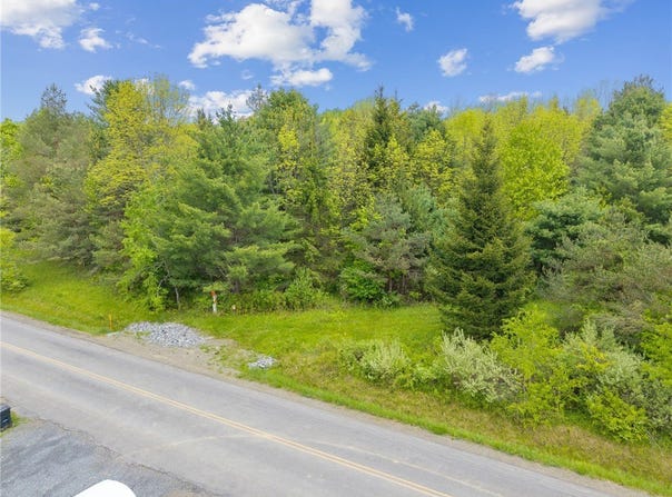 Lot 7C Blackman Hill Road, Caroline, NY 13736