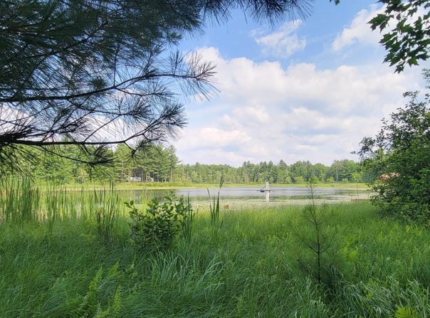 6464 S Weekend Lane, Baldwin, MI 49304