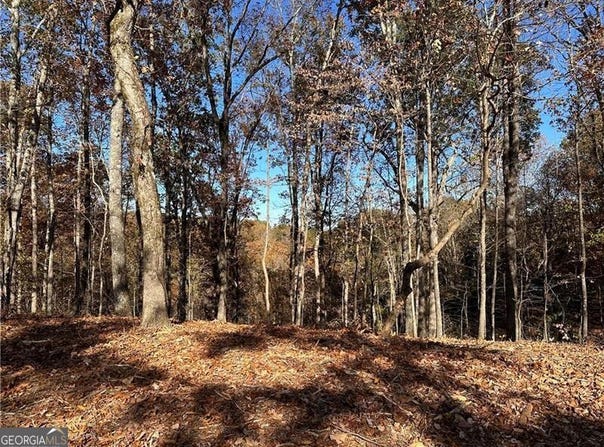 108 Adair, Ranger, GA 30734